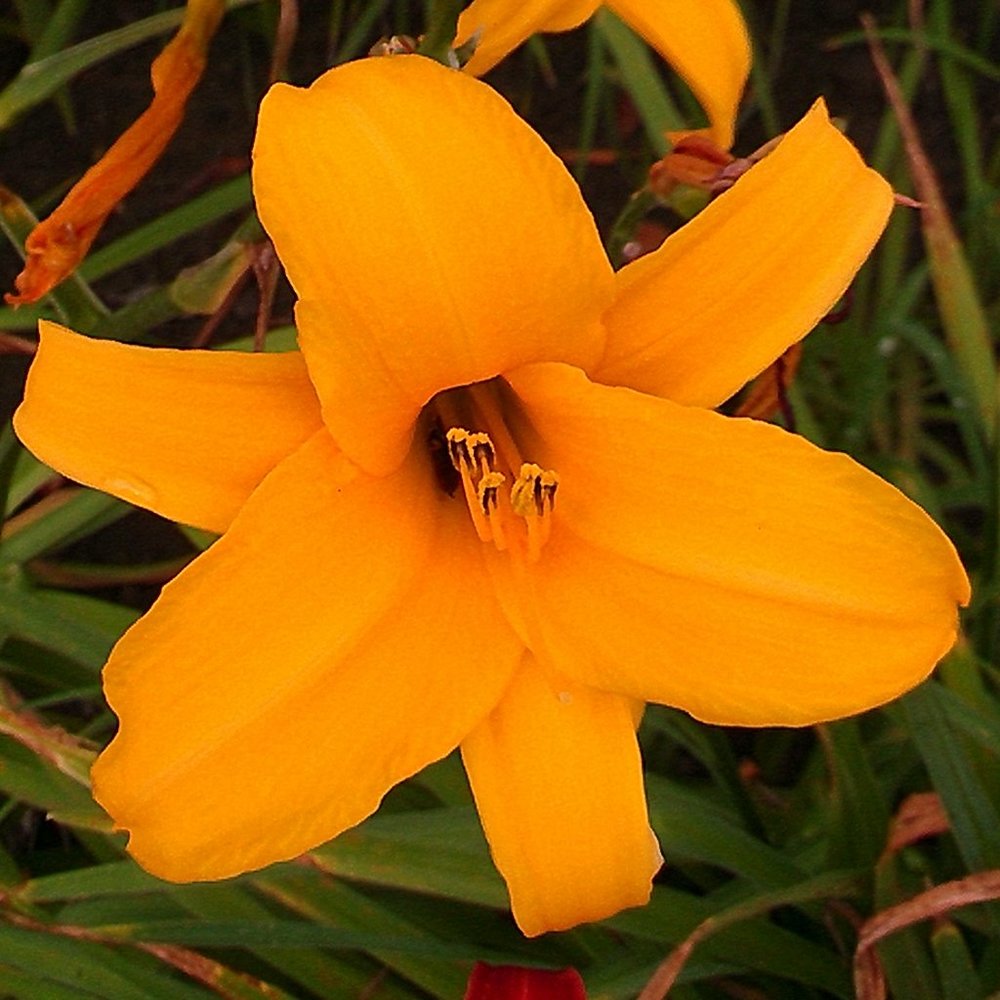 Meet your Posher, Posh